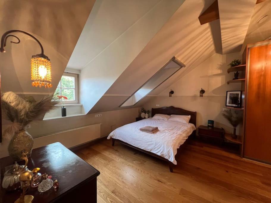 Old Town Apartment With Free Parking Vilnius Extérieur photo