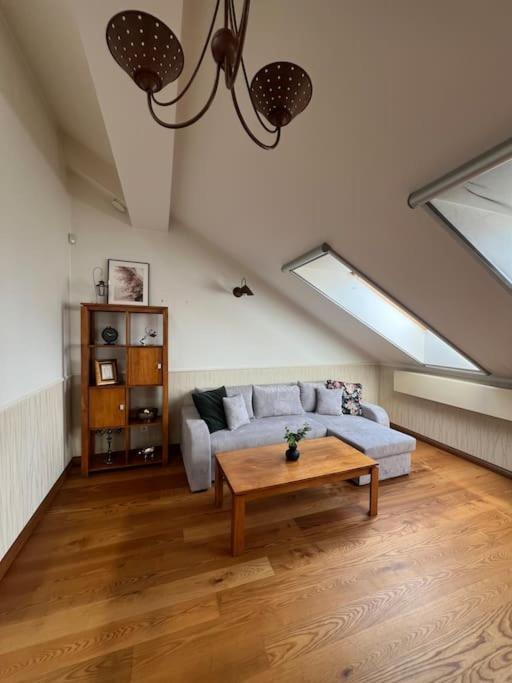 Old Town Apartment With Free Parking Vilnius Extérieur photo